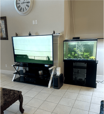 Entertainment area
